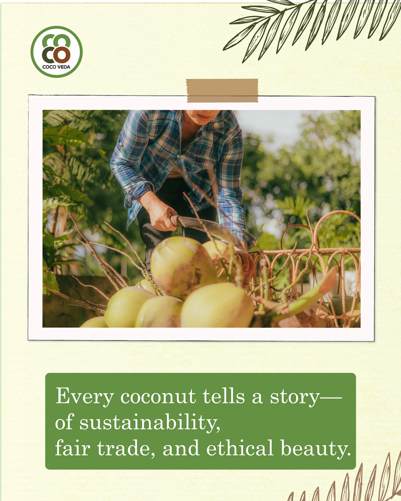 Coco Veda sustainability social media artwork featuring its redesigned logo